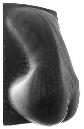 zn%20Kalkstein