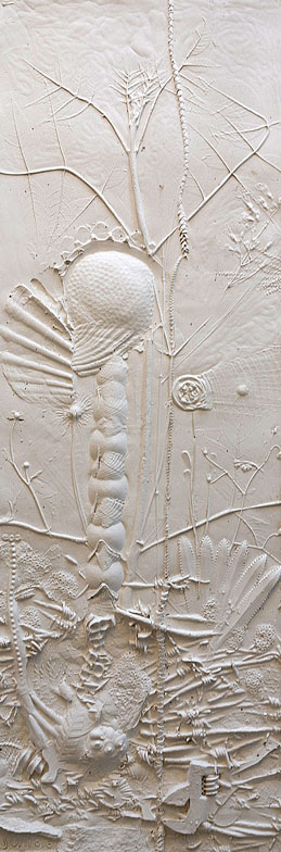 Martin Senn