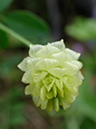 DSCN7769